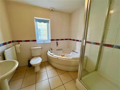 Picture 20